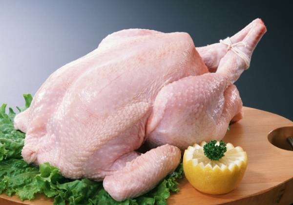 مرغ منجمد بهتر است یا مرغ گرم؟